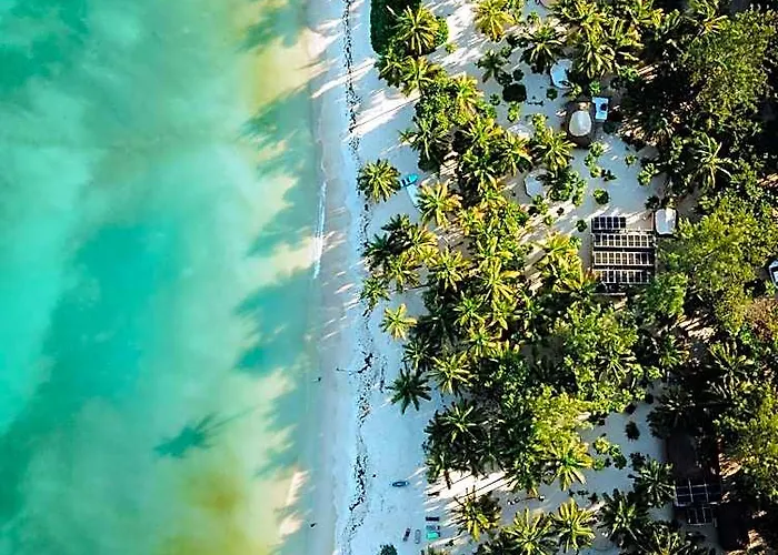 Cielo Y Selva Hotel