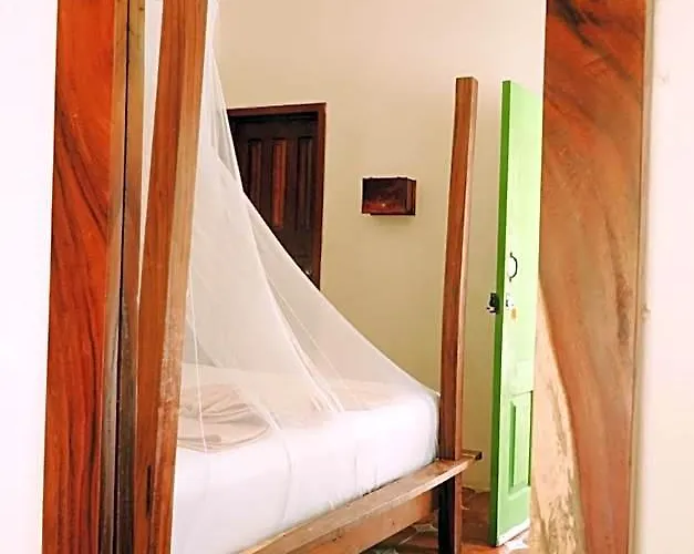 Cielo Y Selva Hotel
