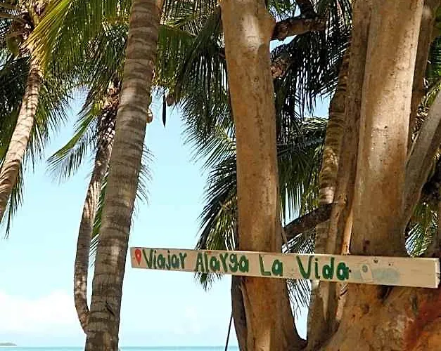 Cielo Y Selva * Riviera Maya