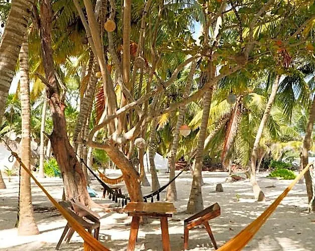 Cielo Y Selva Hotel