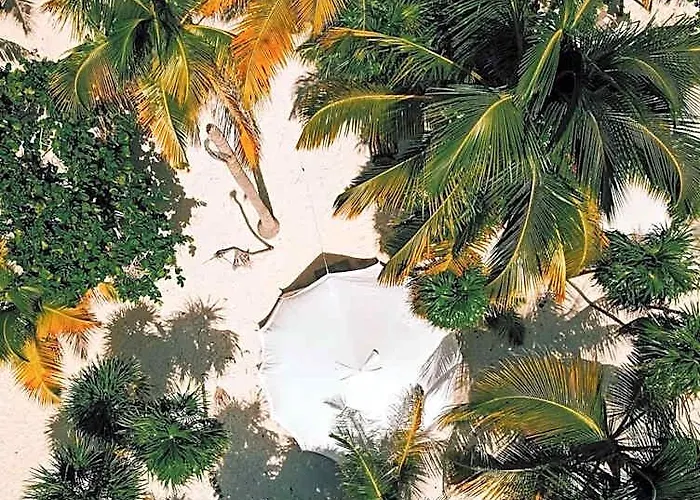 Hotel Cielo Y Selva