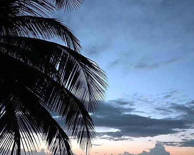 Cielo Y Selva