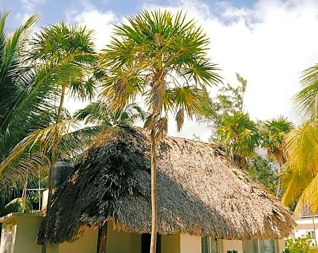 Cielo Y Selva * Riviera Maya