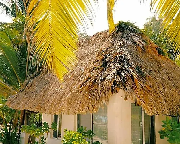 Cielo Y Selva Hotel *