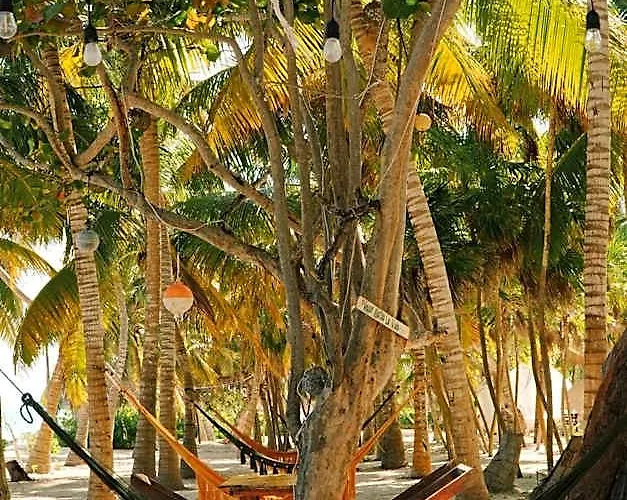 Hotel Cielo Y Selva *